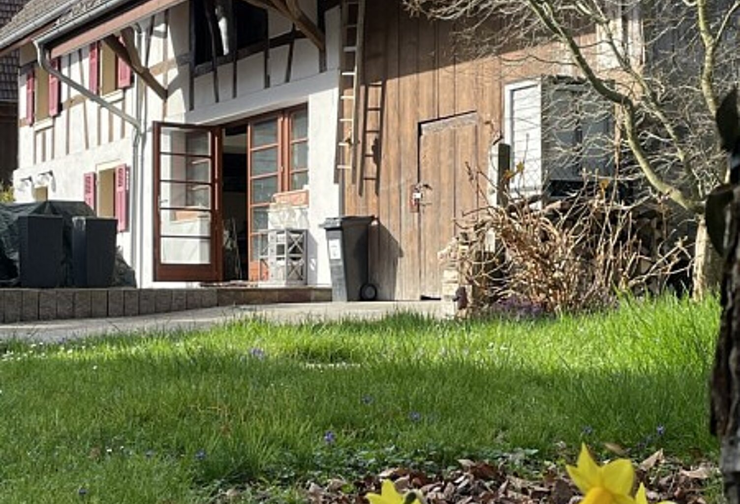 Réf: 11038*** Sect. Hagenthal, Hégenheim, Leymen, Schönenbuch: Superbe Corps de ferme rénové env. 180 m² — photo 1