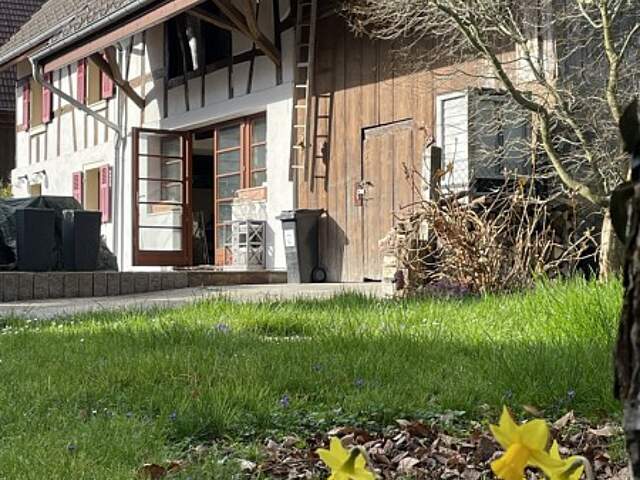 Réf: 11038*** Sect. Hagenthal, Hégenheim, Leymen, Schönenbuch: Superbe Corps de ferme rénové env. 180 m² — photo du bien