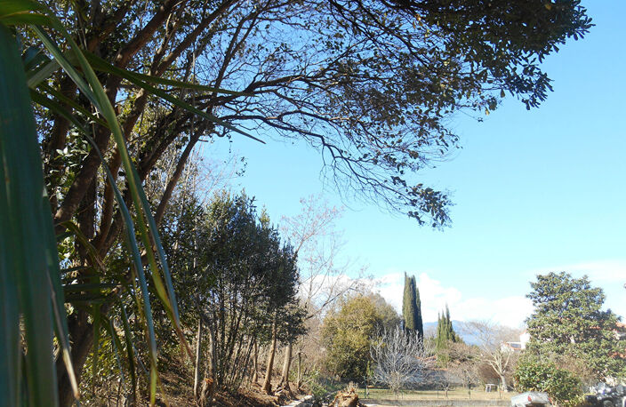 CERET PROCHE CENTRE VILLE — photo 2