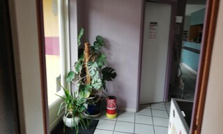 Photo N° 5