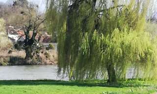 Maison 11 Pièces 380 m² à vendre à Port-sur-Saône (70170)