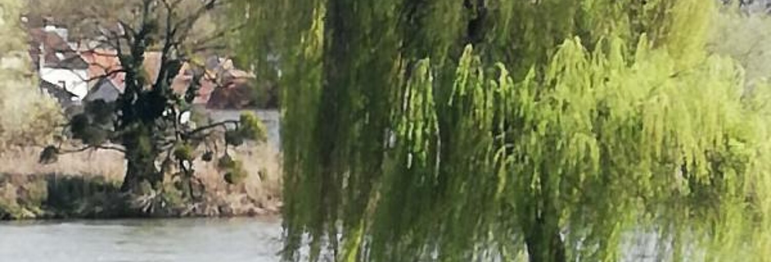 Maison 11 Pièces 380 m² à vendre à Port-sur-Saône (70170)