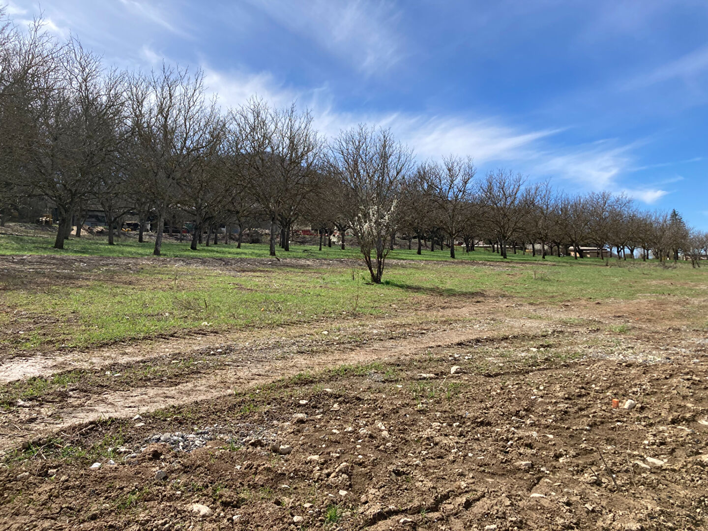 Agence immobilière de Square Habitat Sud Hautes Alpes