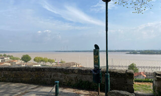 Photo N° 5