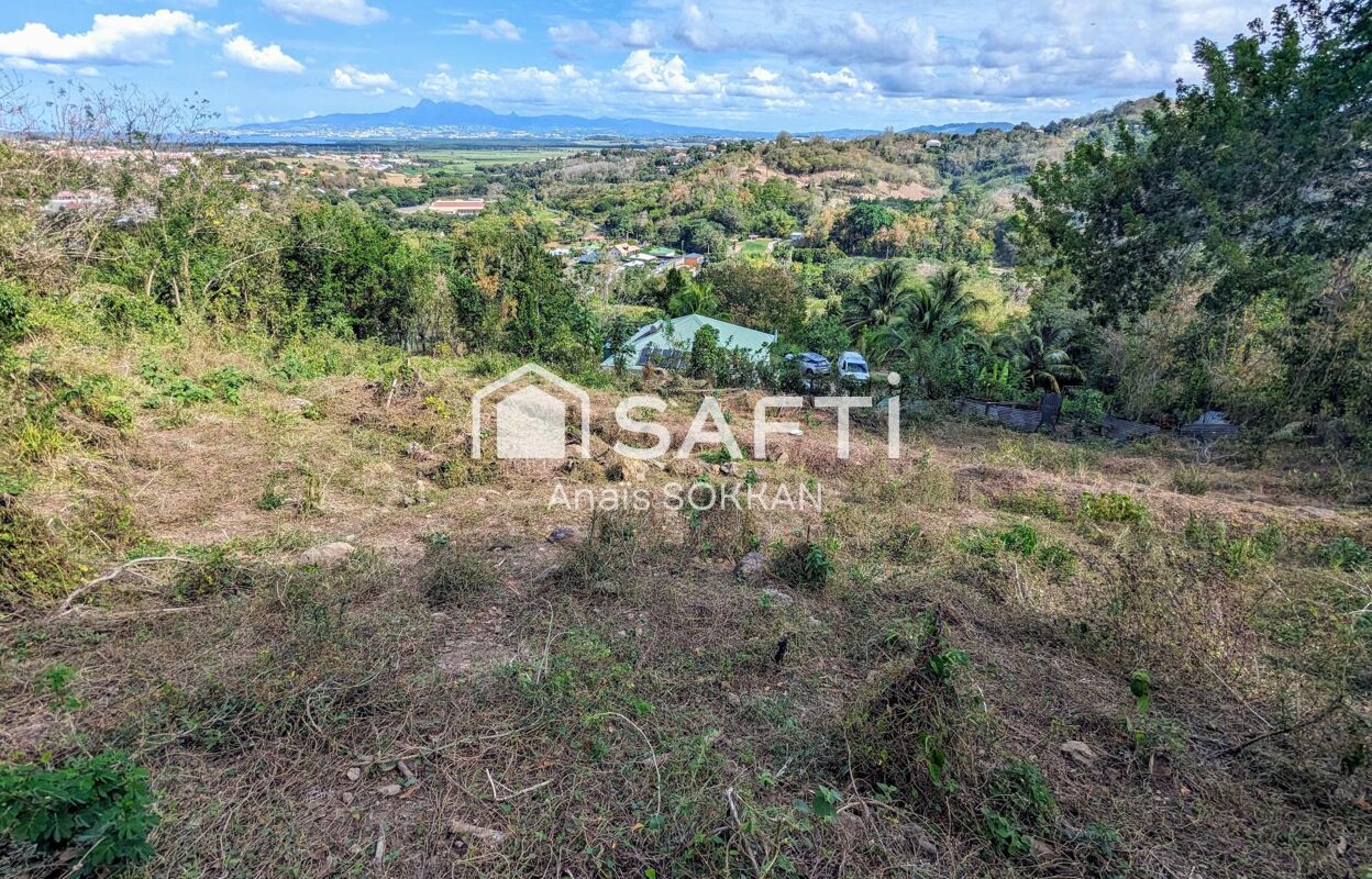 terrain  pièces 4096 m2 à vendre à Rivière-Salée (97215)