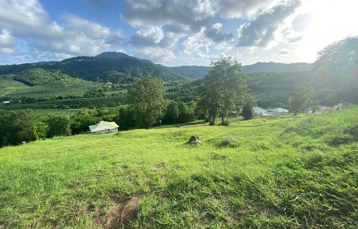 terrain  pièces 752 m2 à vendre à Le François (97240)