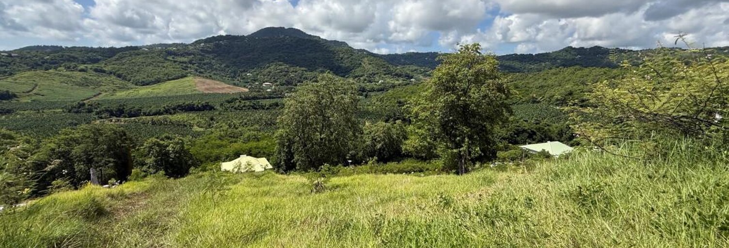 Terrain  752 m² à vendre à Le François (97240)