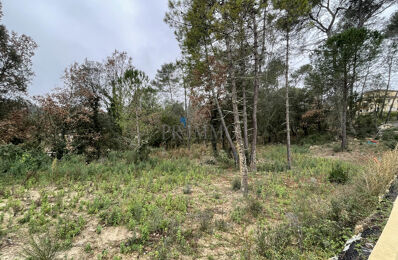 vente terrain 178 500 € à proximité de Puget-sur-Argens (83480)