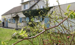 Photo N° 3
