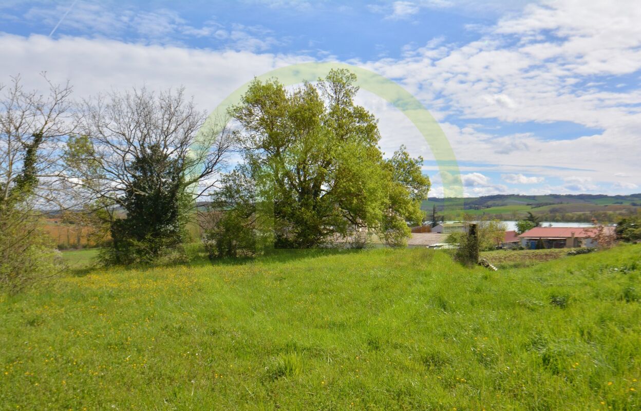 terrain  pièces 1463 m2 à vendre à Beaumont-de-Lomagne (82500)