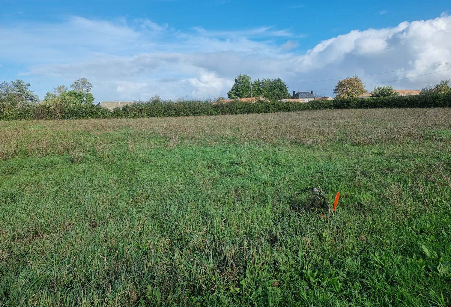 TERRAIN 1120 m2 PÉTOSSE HORS LOTISSEMENT AU CALME 24,46 EUR le — photo 1