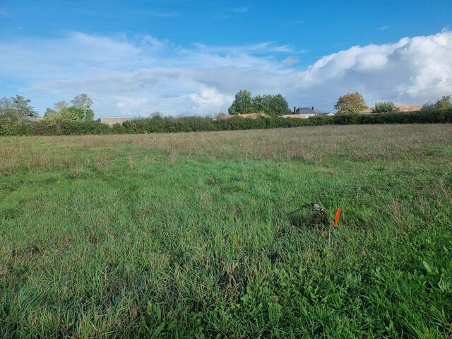 TERRAIN 1120 m2 PÉTOSSE HORS LOTISSEMENT AU CALME 24,46 EUR le — photo du bien