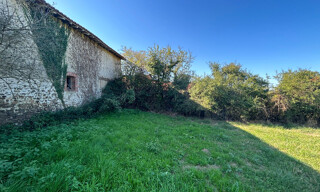 Photo N° 15