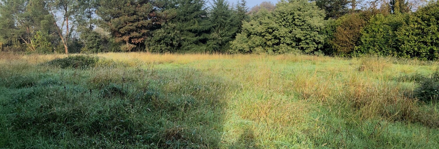 Terrain 790 m² à construire Dax (40100)