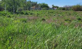 Terrain   m² à vendre à Manduel (30129)