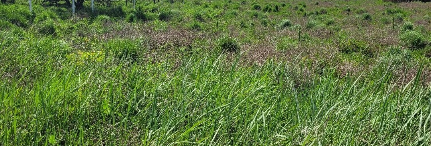 Terrain   m² à vendre à Manduel (30129)