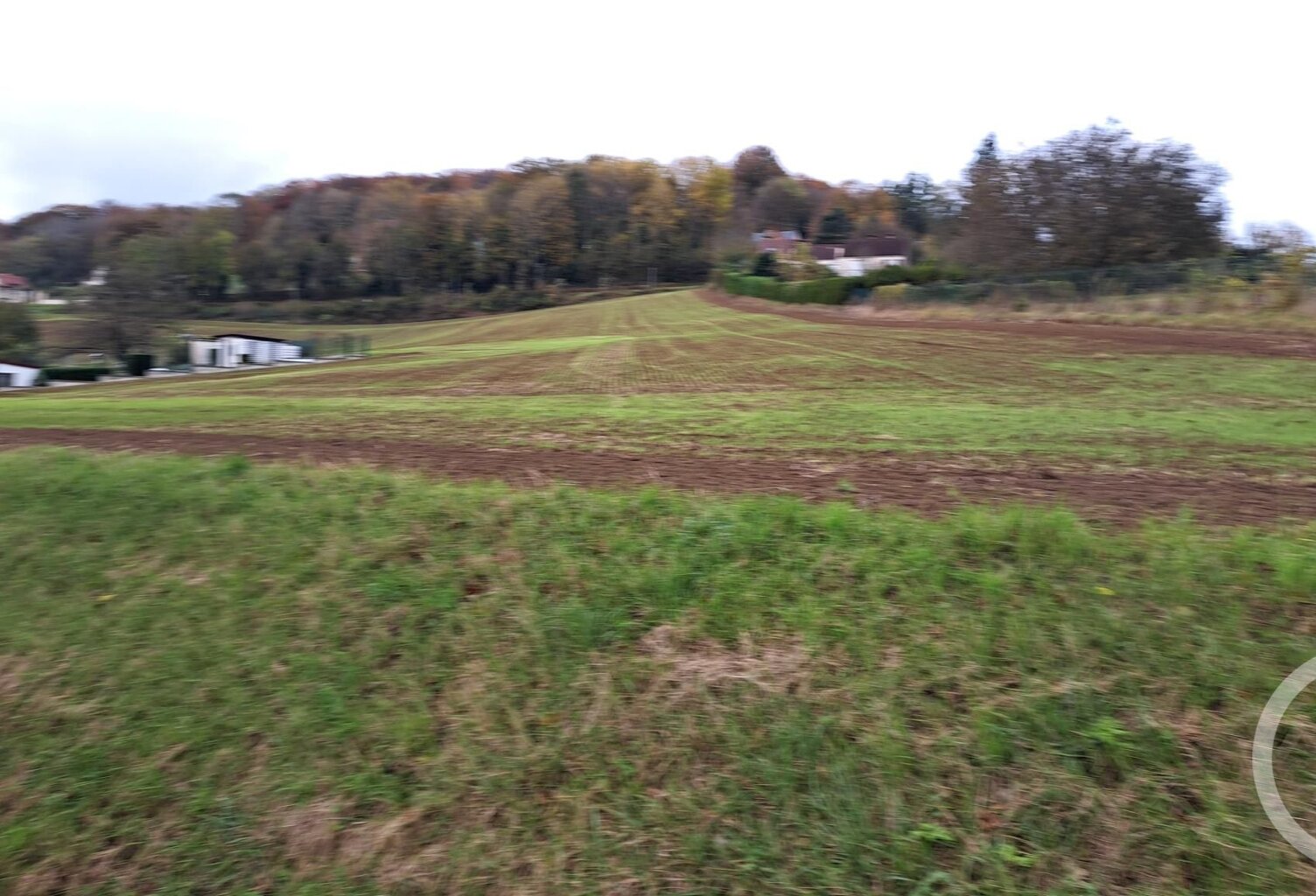 Terrain — photo 1