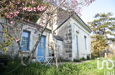 vente maison 250 000 € à proximité de Neuillé-le-Lierre (37380)