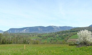 Photo N° 5
