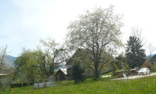 Photo N° 6
