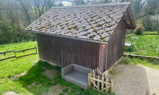 Photo N° 8