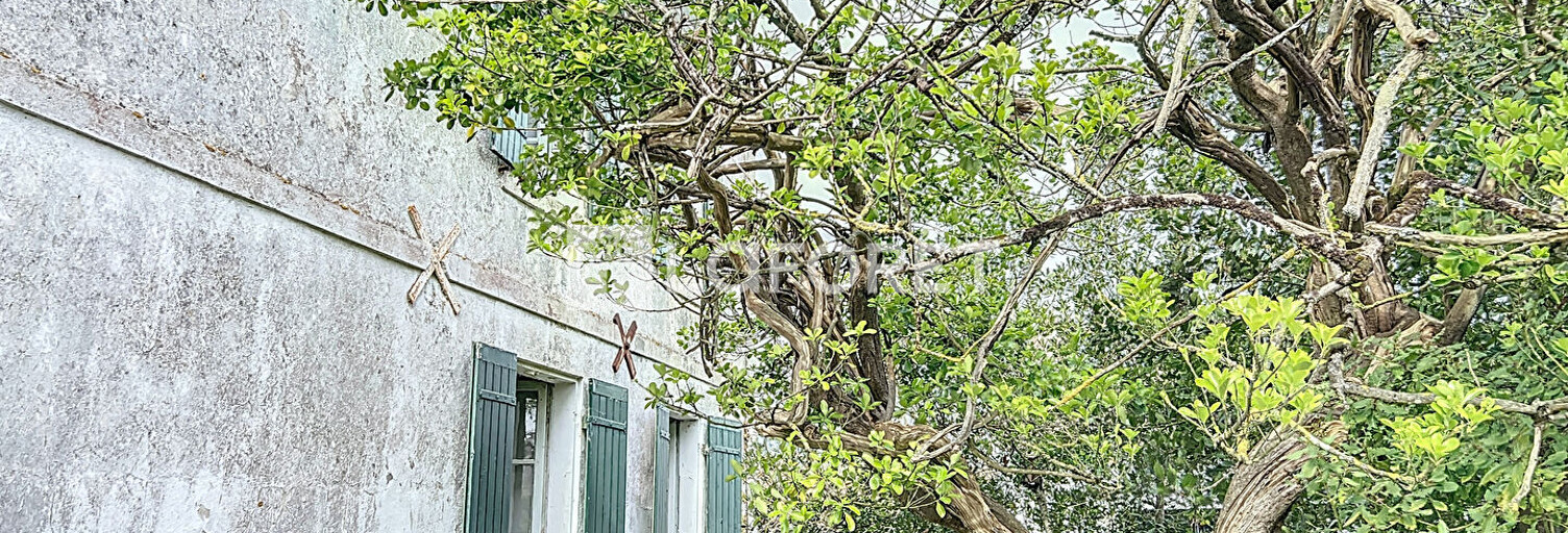 Maison 1 Pièce 69 m² à vendre à Saint-Georges-d'Oléron (17190)