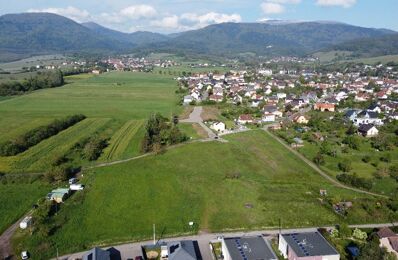 vente terrain 87 360 € à proximité de Soultzbach-les-Bains (68230)