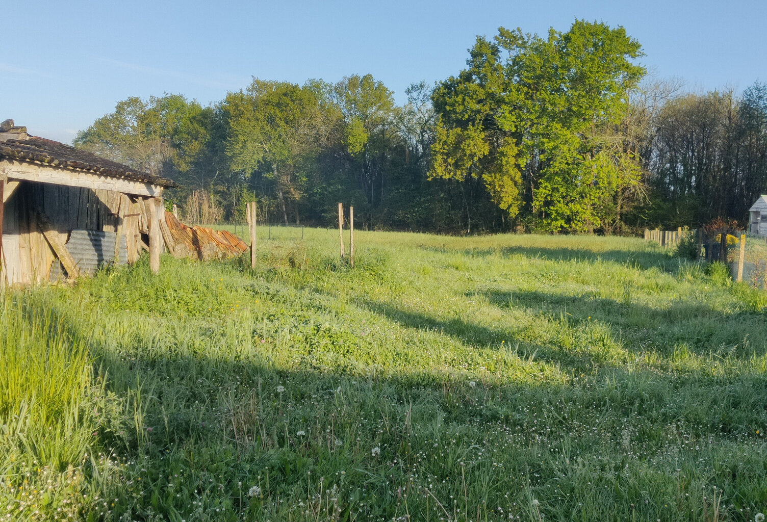 Vente terrain   Écoyeux (17770) — photo 1