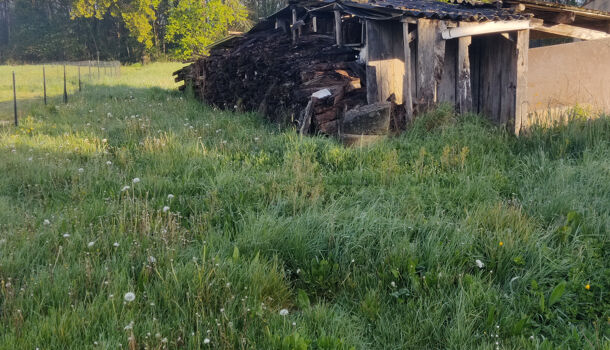 Terrain  à vendre Écoyeux 17770