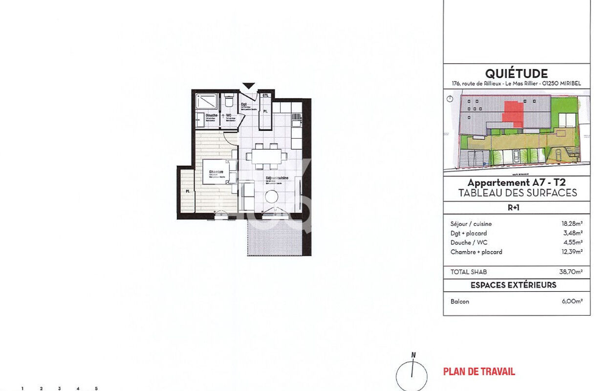appartement 2 pièces 38 m2 à vendre à Miribel (01700)