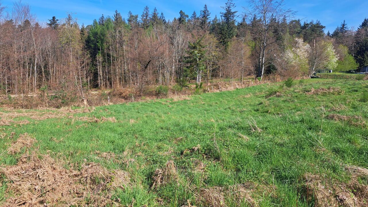 terrain  pièces 1130 m2 à vendre à Chantraine (88000)