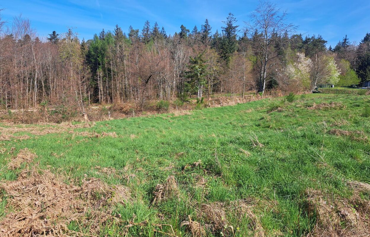 terrain  pièces 1130 m2 à vendre à Chantraine (88000)