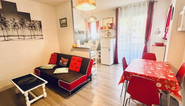 Appartement 2 pièces  à louer Amélie-les-Bains-Palalda 66110