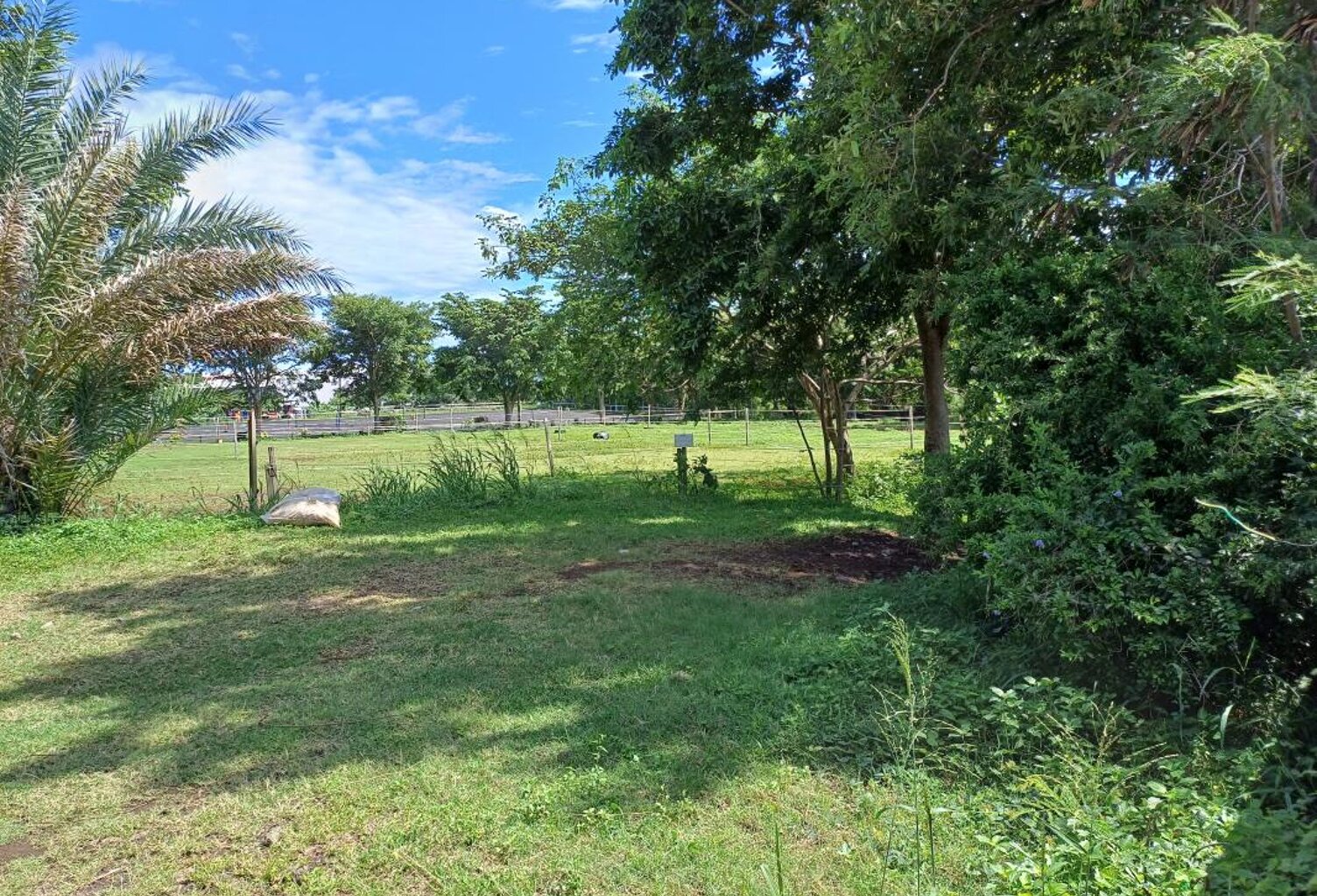 TERRAIN 6112 m²  divisible Sainte-Marie — photo 1