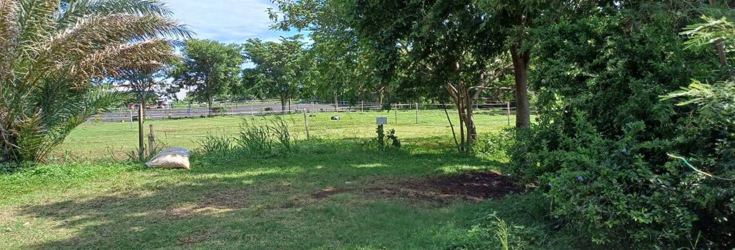 Terrain  5832 m² à louer à Sainte-Marie (97438)