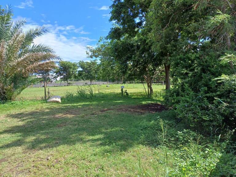 TERRAIN 6112 m²  divisible Sainte-Marie — photo 1