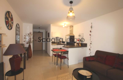 location appartement 500 € CC /mois à proximité de Campo (20142)