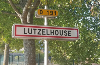 terrain  pièces 569 m2 à vendre à Lutzelhouse (67130)