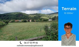 Terrain  10000 m² à vendre à Lucenay-l'Évêque (71540)
