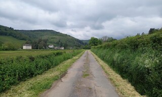 Photo N° 3