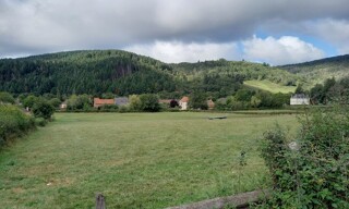Photo N° 4
