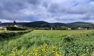 Photo N° 5