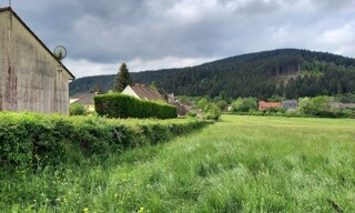 Photo N° 6