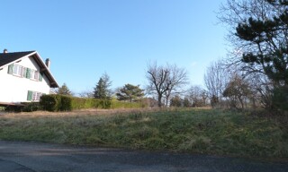Photo N° 4