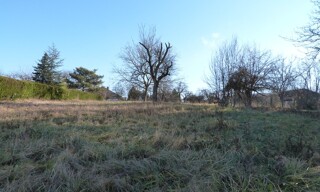 Photo N° 5