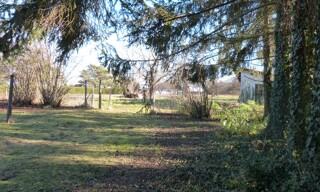 Photo N° 8