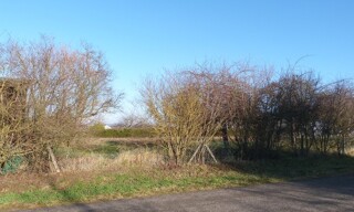 Photo N° 4