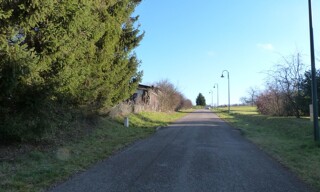 Photo N° 6
