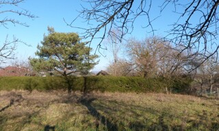 Photo N° 8