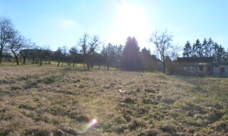 Photo N° 5